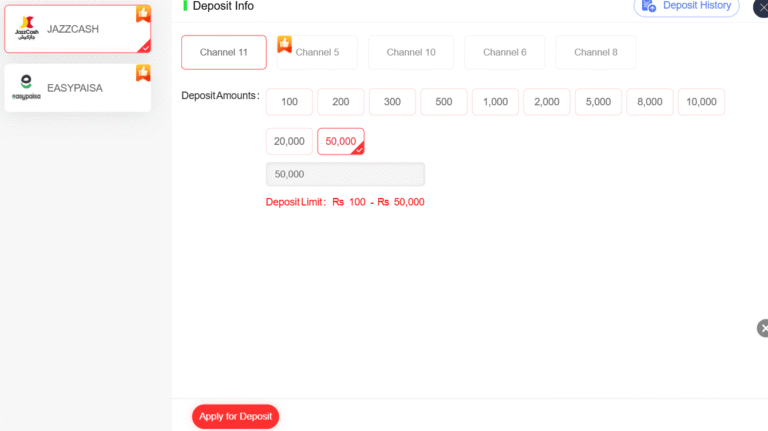 How to Deposit money in Betpkr